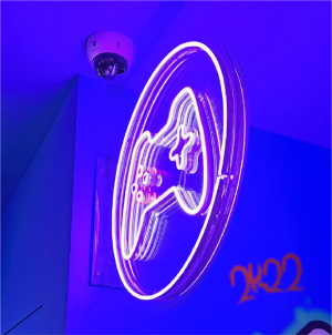 21951ce1e06d06cd566abf2f121ce250_1688459987_5257.png