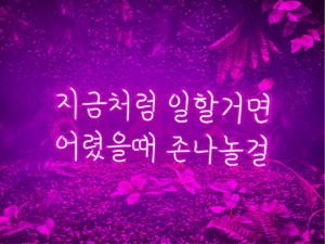 a482beb2234cf682f546a37aaad8bcd9_1705617651_5864.jpg